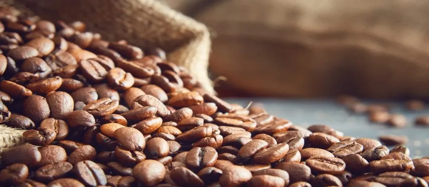 coffee beans header desktop.jpg